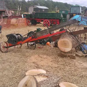 WP_003747