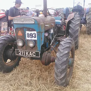 WP_003773