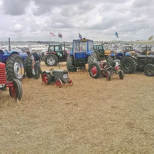 WP_003778