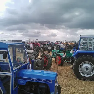 WP_003796