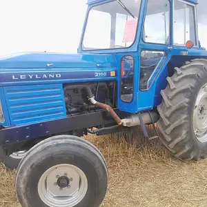 WP_003800