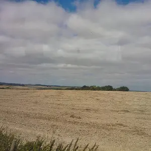 WP_003862