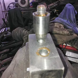 WP_003940