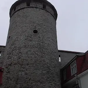 Tallinna Marraskuu -15