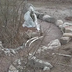puutarhan tapaista ja kiveä