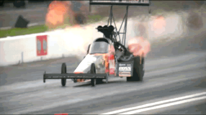 30368.gif