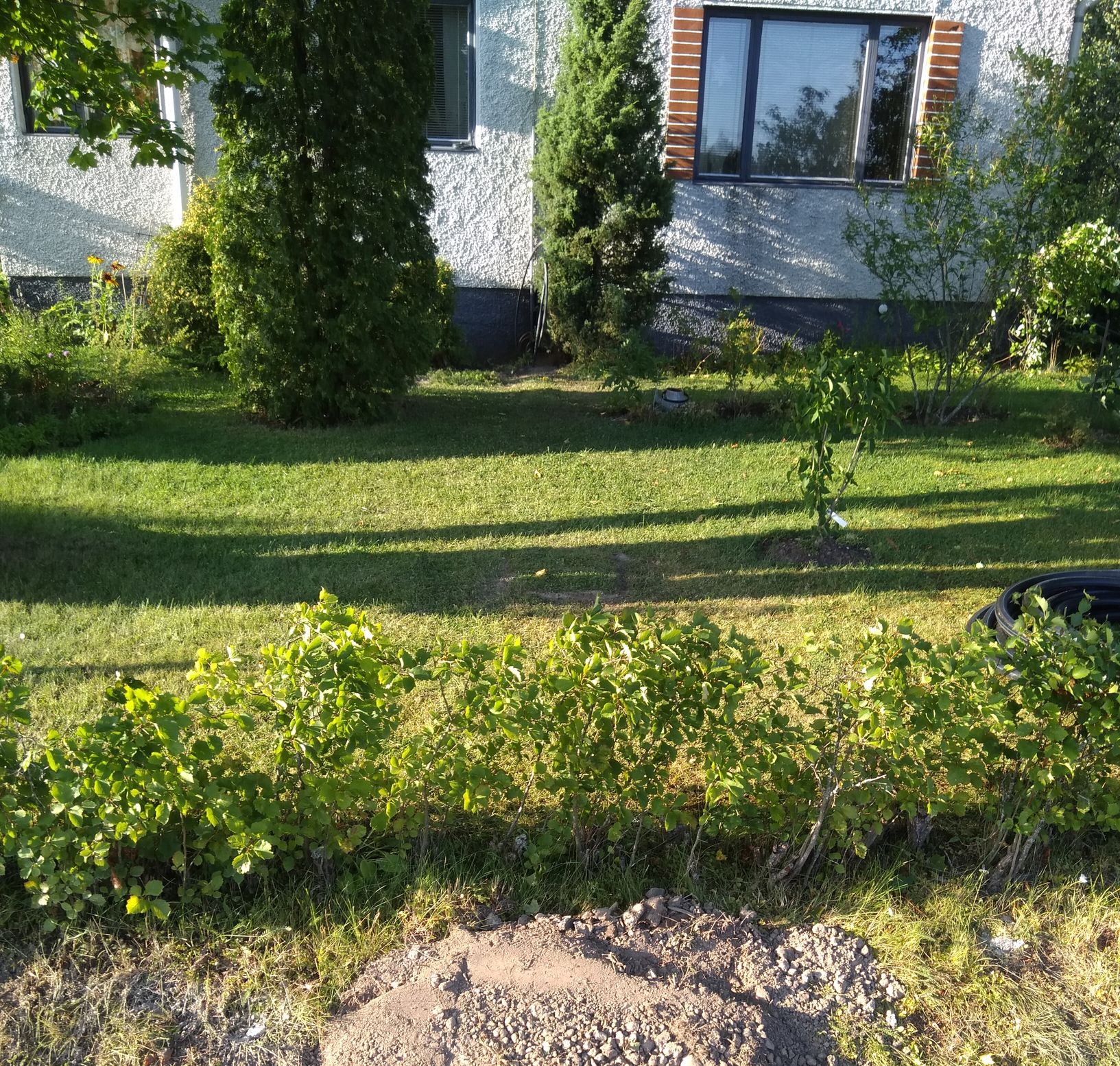 20190815_loppuasiakkaan_pihanurmi_kaivuun_jalkeen.jpg